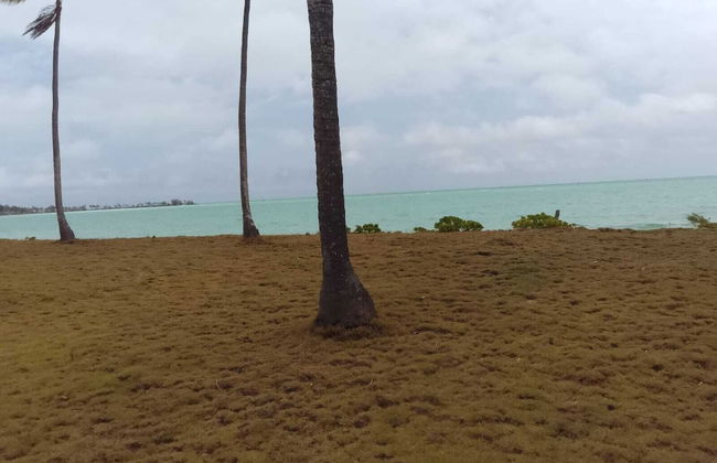 Alvira's Place - Foto 44