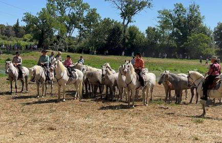 AMAIRADOU maison de vacances - Foto 60