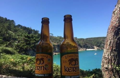 Un Balcon sur la Mer - Photo 39