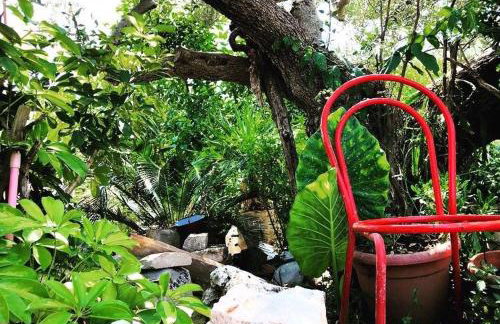 Faros oasis - Foto 60