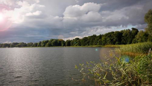 Bungalow mit Wintergarten - Photo 5