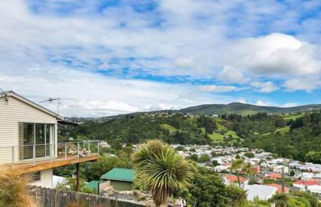 Baldwin Street BNB - Foto 59