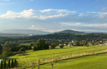 JAFERÓWKA Domki w górach SAUNA JACUZZI - Foto 58