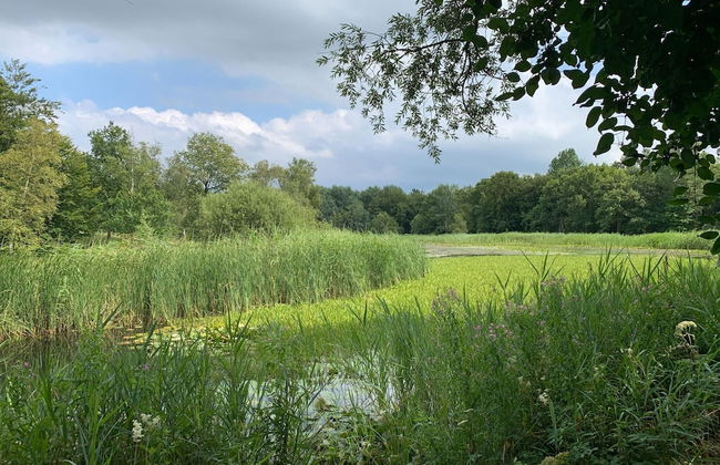 Lakeview Villa With Swimming and Fishing Pier - Foto 39