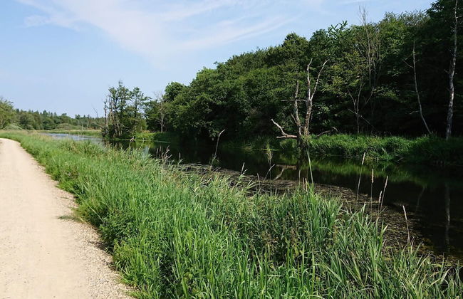 Charming Retreat by River - By Traum Ferienwohnungen - Photo 16