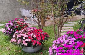 Casa bangalô conexão com a natureza e bem estar - Foto 61