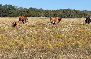 SkyblueRanch Getaway Retreat! - Foto 8