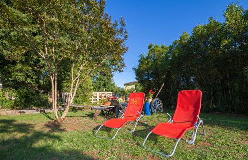 New brend app Matija - Foto 20