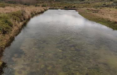 Casa do Sobrado-Gralhas-Montalegre - Foto 38