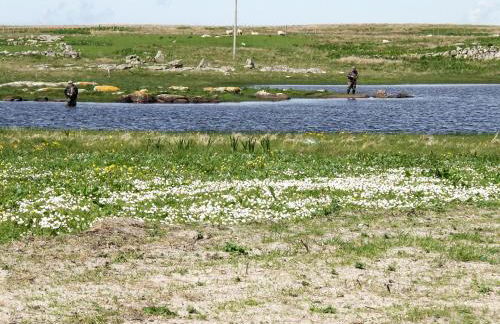 Kilbride Cottage - Foto 18