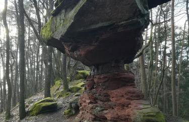 Ludwig im Künstlerhaus - Foto 21