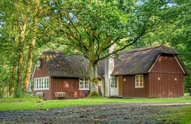 "Fina" - 15km from the sea - Foto 19