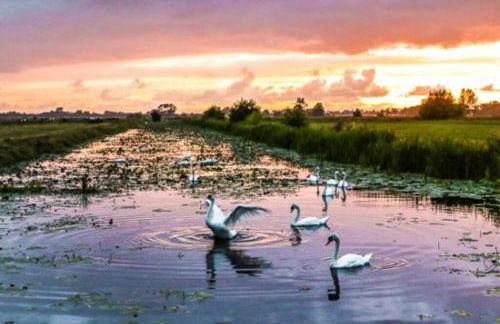 Self contained annexe in the heart of Wedmore - Foto 43