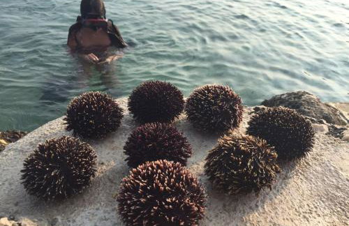 Holiday Home - Apartment Carmen - Foto 63