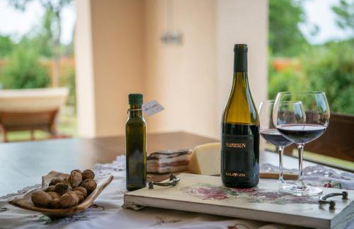 Villa Cicibella by IstriaLux - Foto 28