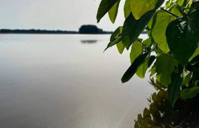 Aparthouse Siemiany - Foto 14