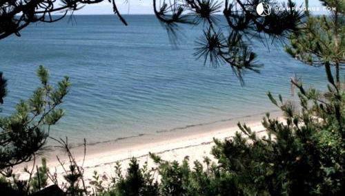 Romantic Cabin Retreat for Couples in Cape Cod Bay near Provincetown - Foto 3