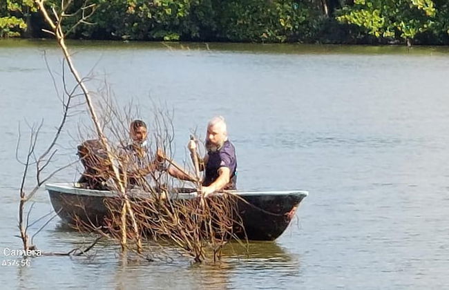 Morning Guest can see Momkeyies and Birds - Foto 39