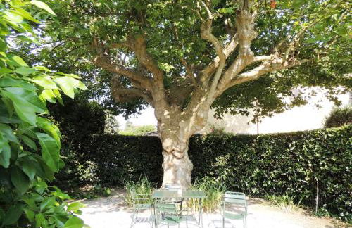 Fattoria di Migliarino - Foto 47