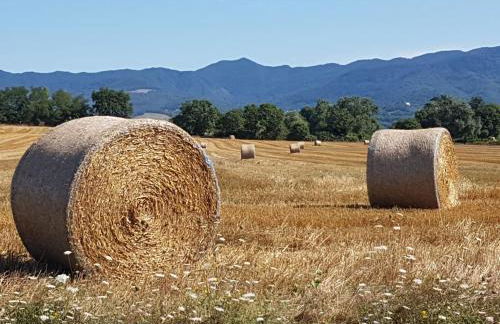 appartamento Nonna Mary - Foto 13