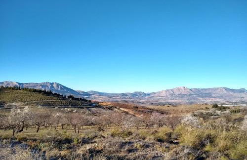 Cortijo La Estrella - Foto 11