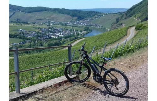 Holiday Apartment Moselle Beach 1 - Foto 69