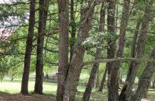 Casa Nonna Rosaria - Foto 23