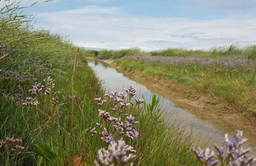 La Cabane des Dunes à Fort-Mahon Plage - Foto 10