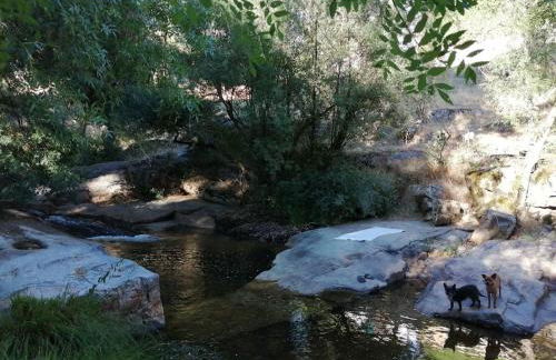 La casita Del Río. - Foto 33