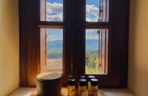 Terra Petra Villa at Psari Trikolonon Gortynia - Photo 46