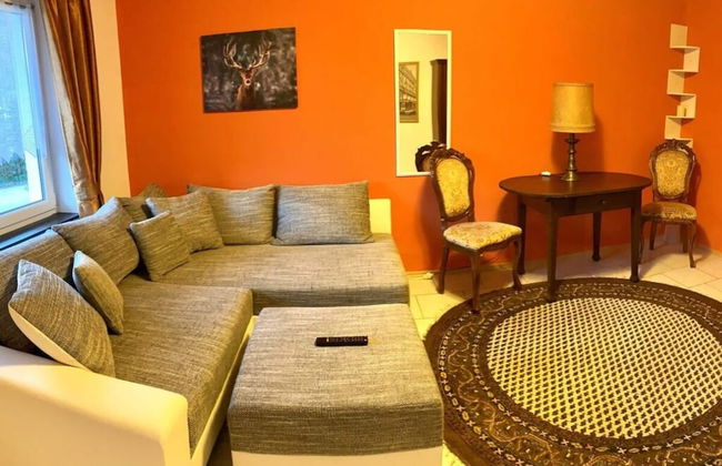 Meierhof Menzenschwand - Foto 5