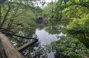 Horio House - Foto 19