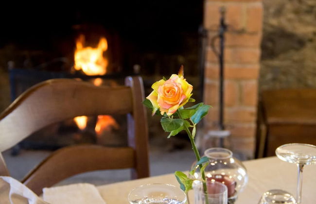 La Rosa Nel Bicchiere - Foto 30