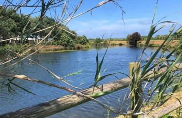 Maison près de la mer , les plages du débarquement - Photo 30