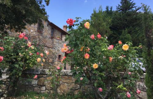 Agriturismo Le Cerinaie - Foto 16