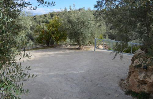 EncinaGorda - Foto 35