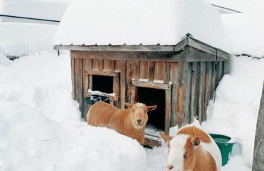 Historic Renovated Barn at Boorn Brook Farm - Manchester Vermont - Photo 28
