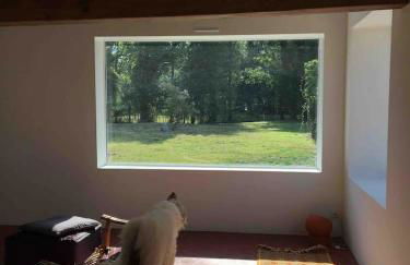 Les Bleuets - Foto 16