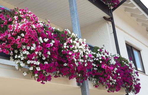 Ferienwohnung Heimatliebe - Foto 22