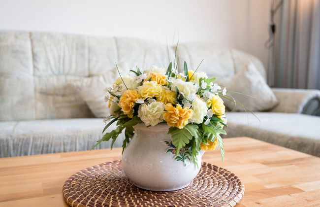 Kiefer (A907) - Foto 9