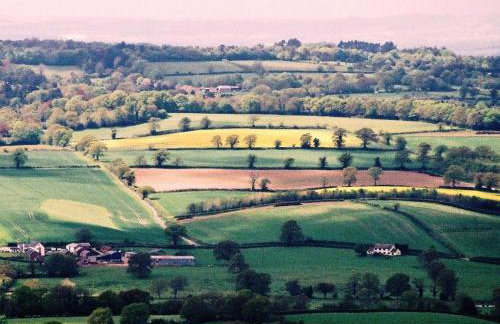 Ottery St Mary Cottages - Foto 12