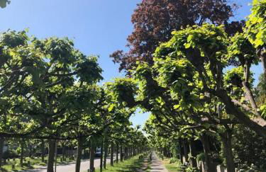 Apartment Kaiserperle mit Balkon direkt am Strand - Foto 25