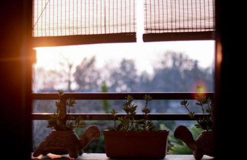 Near Paradise - Photo 33