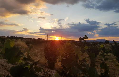 Casale in collina vista Assisi,Brufa di Torgiano - Foto 47
