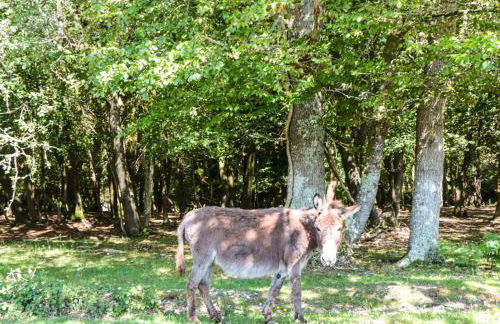 Downton Lodge - Photo 25