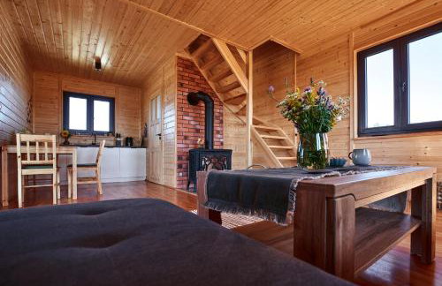 Domki całoroczne DŁUGOSZÓWKA pod Rzeszowem, Jacuzzi-Sauna-Basen-Alpaki - Foto 58