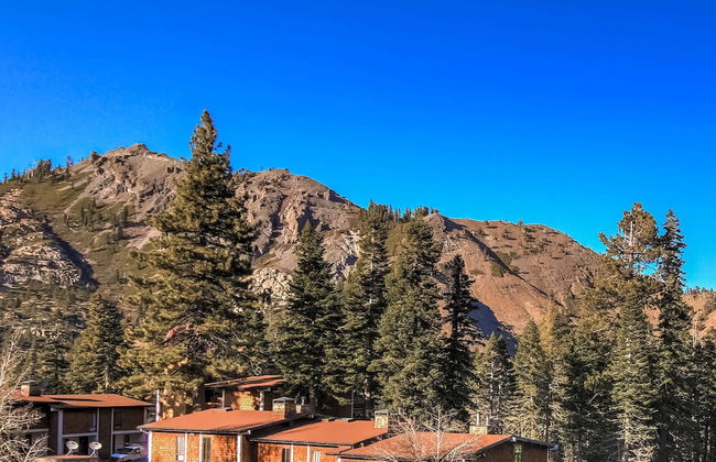 Alpine Meadows Peak 15 Min to Commons Beach - Photo 14