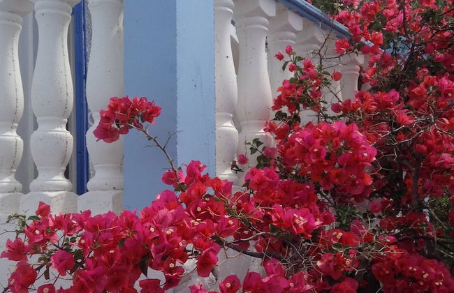 Meltemia Studio Samos Near the Beach - Foto 7