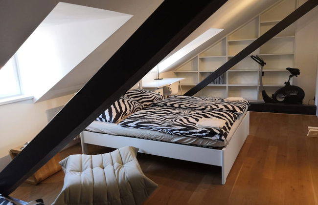 Prague Castle View Apartment - Foto 6