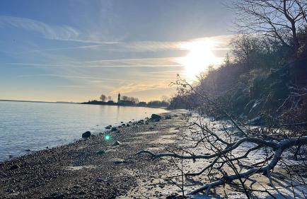 Ferienhof Lehbekwiese - Foto 3